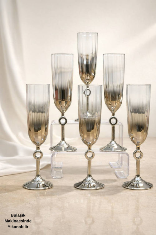 Ayça Series 6-Piece Glass Titanium-Coated Luxury Stemmed Glass Set – Modern & Elegant Design - Silver